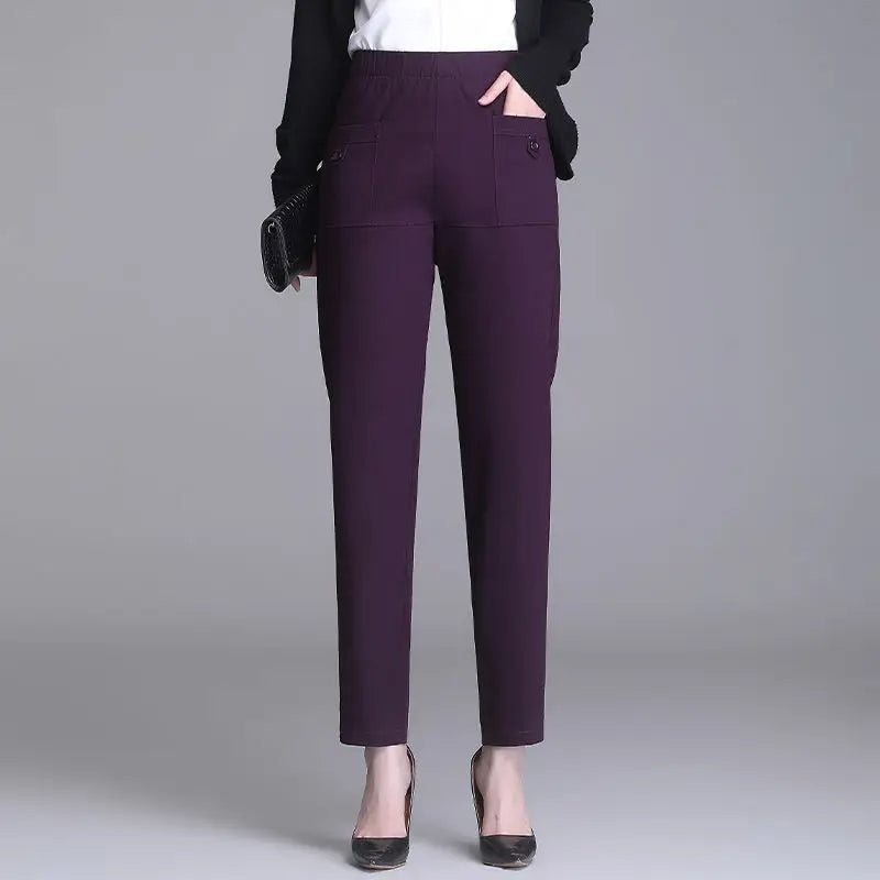 Morgana pants spring autumn elastic high waist